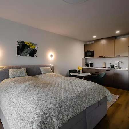 Appartement Stepanovice *