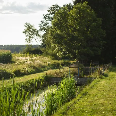 Daire Stepanovice Ceske Budejovice